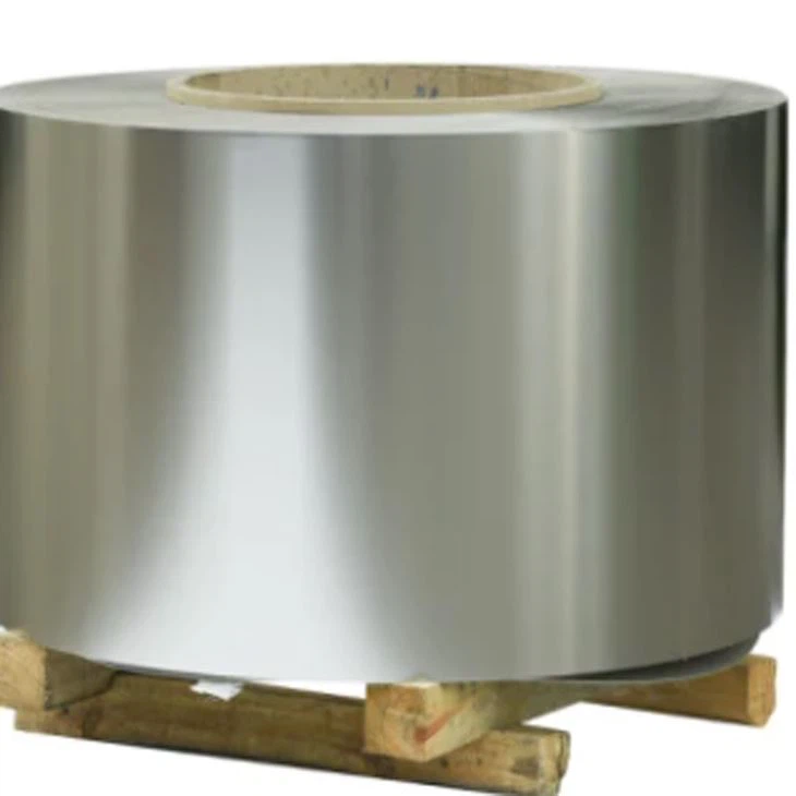 1.4521 Stainless Steel Coil-Ferrisian Material