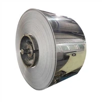 Bobine en acier inoxydable STS202