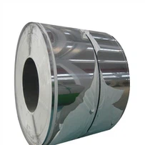 Bobine en acier inoxydable SUS316TI