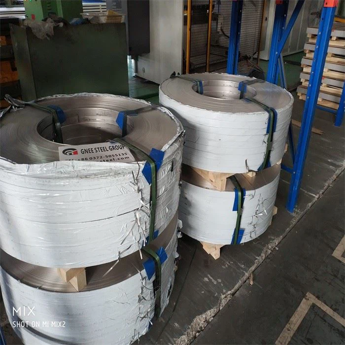 SS 310 Steel Coils